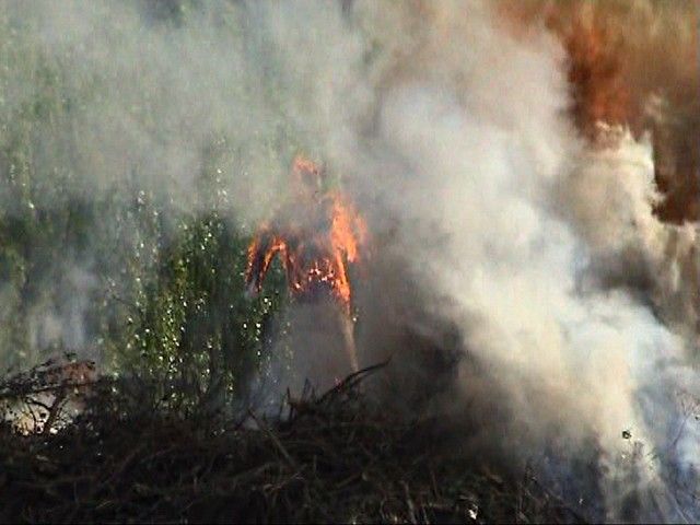 carnaval 2011 (151).jpg